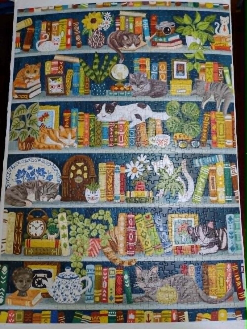 Cobble Hill "A Purrfect Bookshelf' 1000 Piece Puzzle Complete